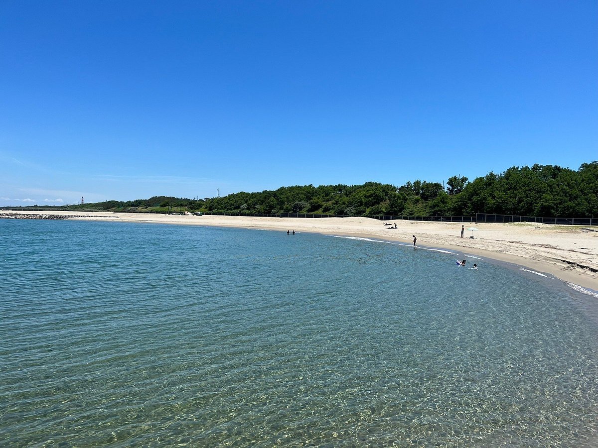 🏞️ 니시카이간 공원(백조곶 서해안 공원) 이미지 5